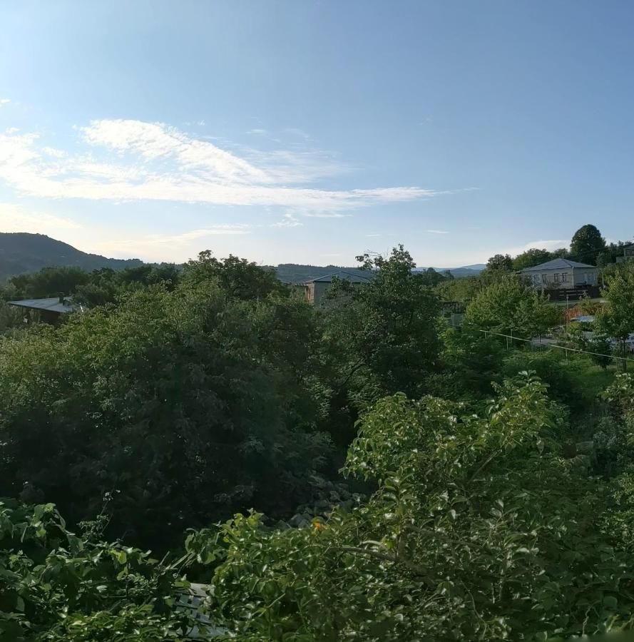Проживание в семье LILE Gelati